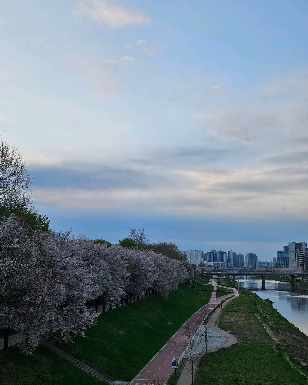 돈 없어도 괜찮아! 혼행족을 위한 무료 여행지+감성 루트 공개