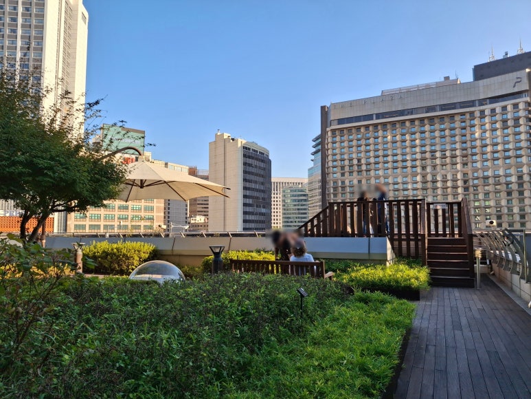 여기 꽁짜였어? 몰라서 못갔을 서울 명소 다 알려줄게