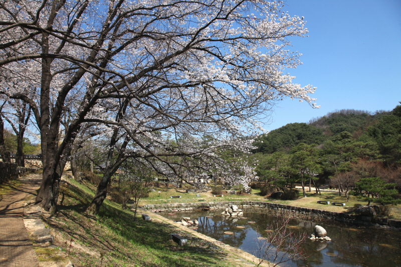 “요즘 뜨는 경북 영주 여행지｜자연 좋아하는 사람 필독!”