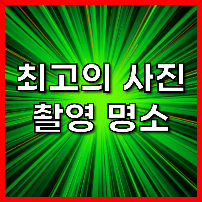 사진 촬영 스팟: 봄 분위기를 담을 수 있는 추천 명소 TOP 5