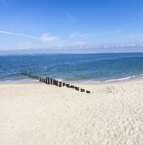 통관목록 접수와 입항 적하목록 제출