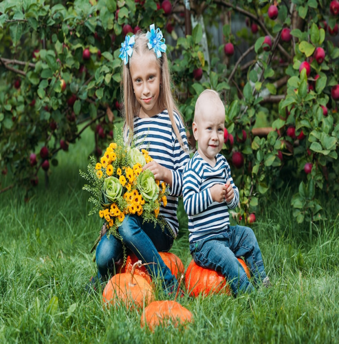 구간단속과 속도위반에 대한 안내