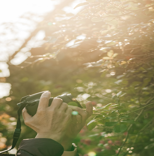 포천 티볼리빌의 아름다운 전망 포천 티볼리빌의 아름다운 전망
