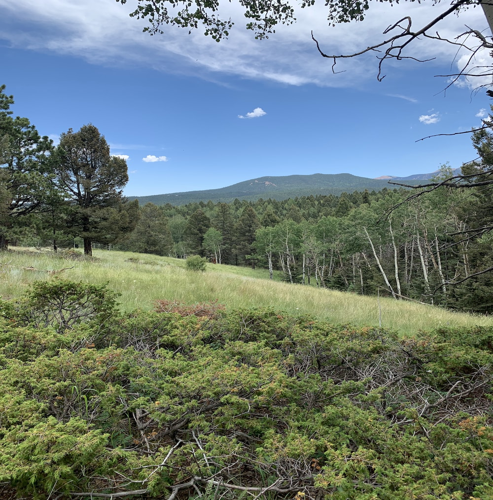 PDF 파일 분할 및 관련 정보