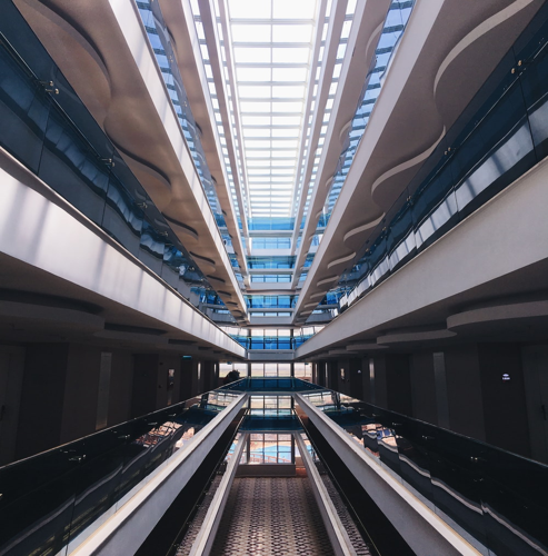 비타민 C와 콜라겐 생성의 관계