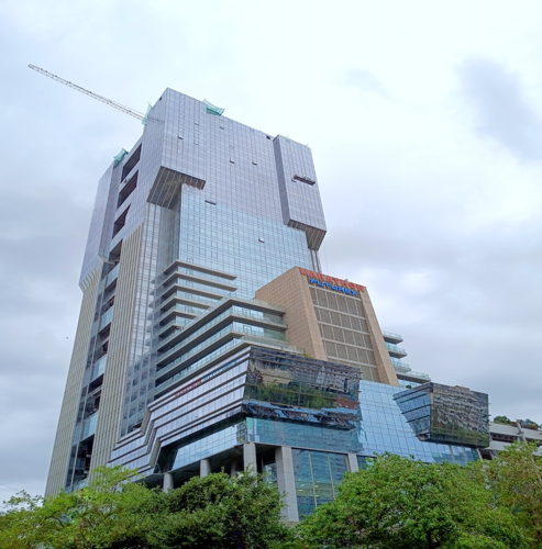 간수치 낮추는 음식에 대해서 알아보자 간수치 낮추는 음식에 대해서 알아보자