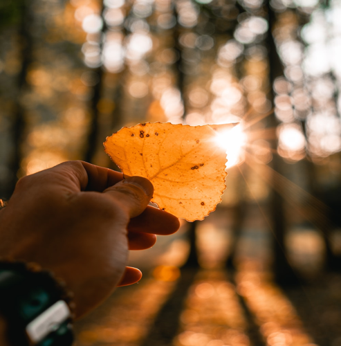 해피콘 모바일쿠폰: 사용처와 사용방법 알아보기 해피콘 모바일쿠폰: 사용처와 사용방법 알아보기