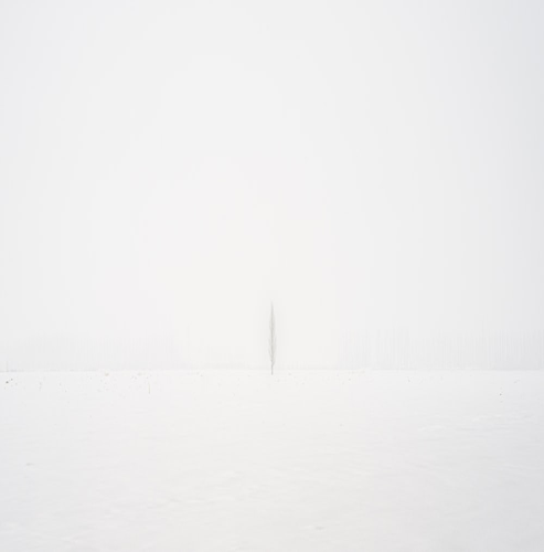 일당백집사와 ott 일당백집사와 ott