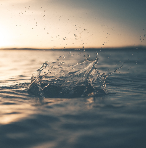 꿀물의 효능과 사용법