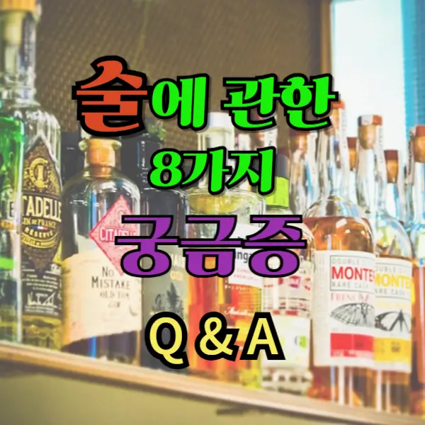 술에 대해서 궁금한 모든 것을 Q & A형식으로 알아보자!