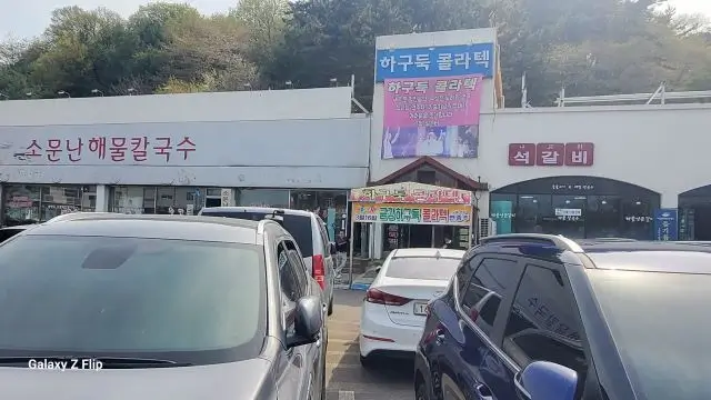금강 하구둑 콜라텍에 가보다!