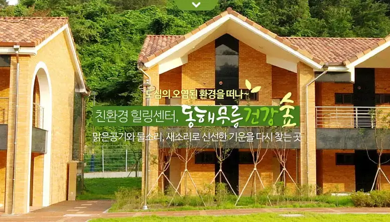 동해로 지친 몸을 이끌고 떠나는 힐링 여행!