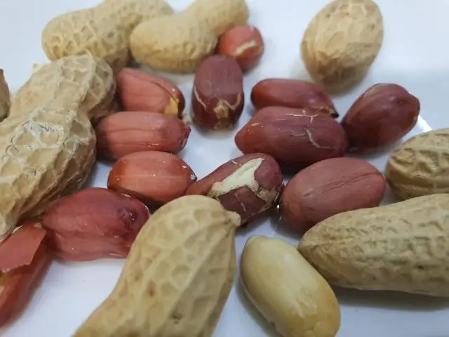 땅콩 속껍질의 숨은 힘, 이렇게 활용하세요!