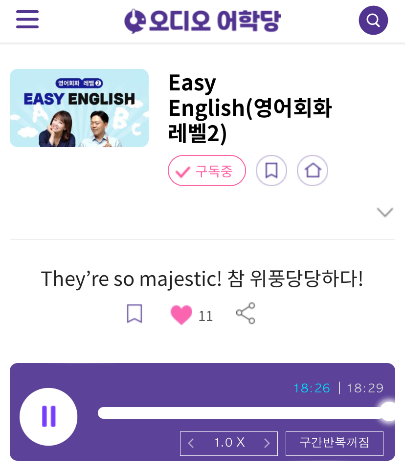 24.04.02.화 Easy English (영어회화 레벨 2) They’re so majestic! 참 위풍당당하다!