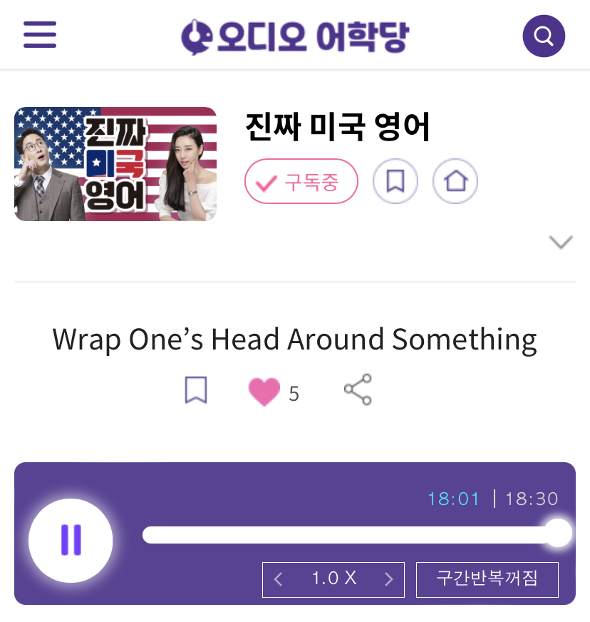 23.12.07.목 진짜 미국 영어 Wrap one’s head Around Something 이해가 안된다 food for thought