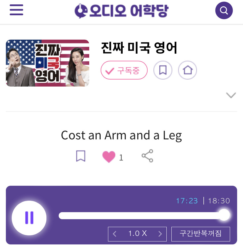 23.11.23.목 진짜 미국 영어 Cost an Arm and a leg 매우 비싸다/등골 브레이커 break the bank 돈이 바닥나다 1 ywAAAAAAQABAAACAUwAOw==