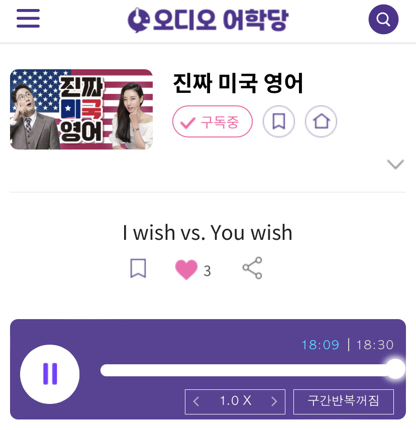 23.08.18.금 I wish vs. You wish 진짜 미국 영어 wishful thinking 1 ywAAAAAAQABAAACAUwAOw==