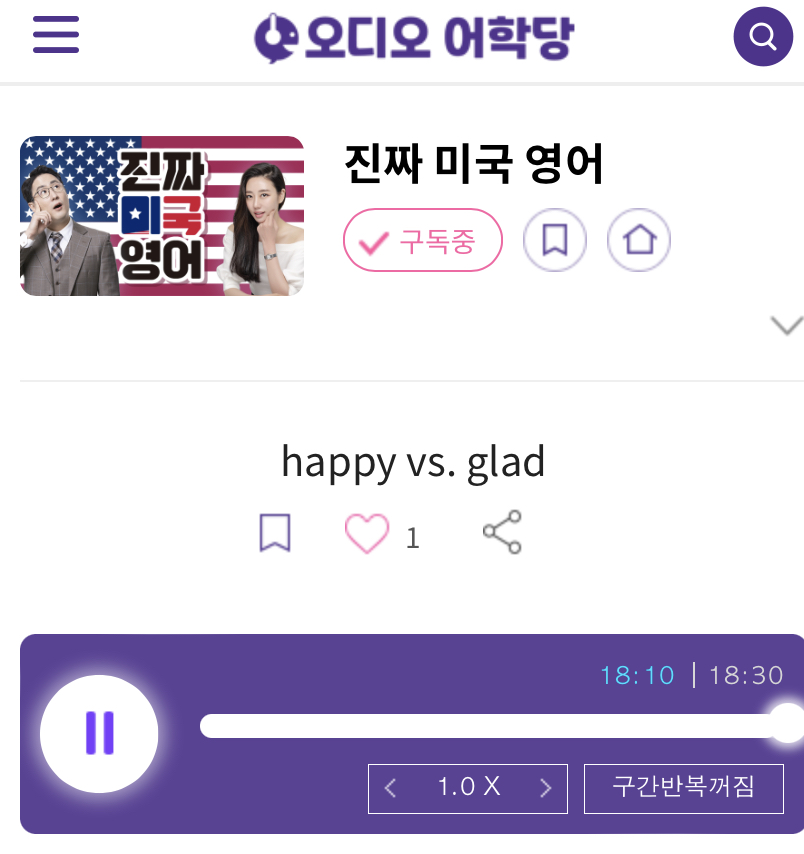 23.06.12.월 happy vs. glad 진짜 미국 영어 one big happy family 1 image 1762148660 0e04c8c673