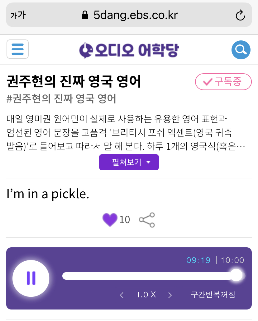 20.03.20.금 I’m in a pickle. 난 곤경에 빠져 있어. 권주현의 진짜 영국 영어