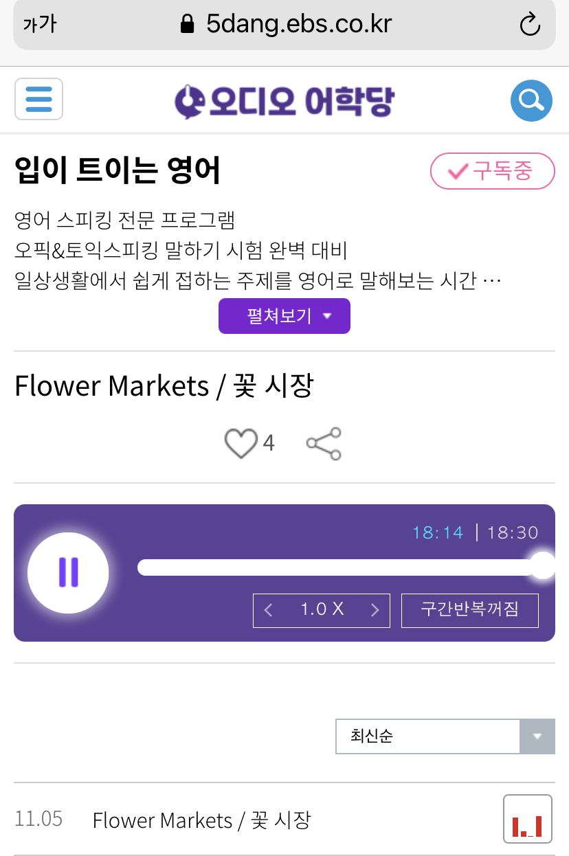 21.11.05.금 Flower Markets 꽃시장 _ 입이 트이는 영어 21.11.05.금 Flower Markets 꽃시장 _ 입이 트이는 영어