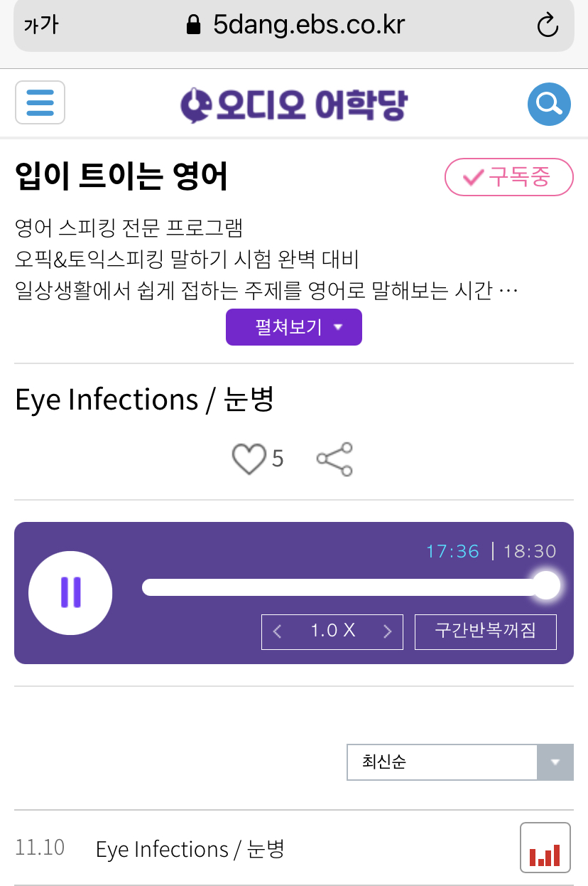 21.11.10.수 Eye Infections 눈병 _ 입이 트이는 영어