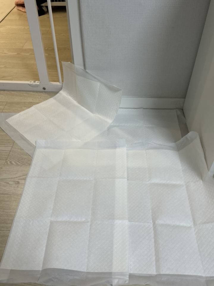 탐사 실속형 배변패드 완전 추천