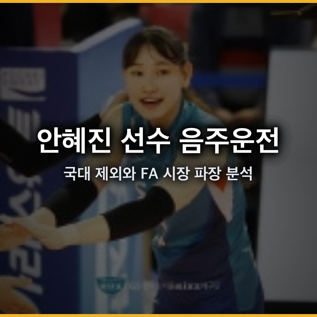 안혜진 배구선수 음주운전 충격, 국가대표 제외와 FA 시장 파장 분석