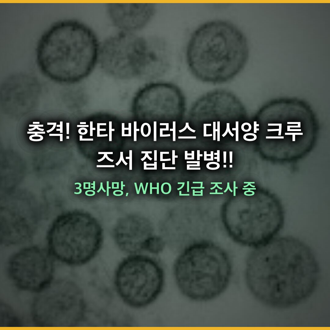 한타 바이러스 대서양 크루즈서 집단 발병…3명 사망, WHO 긴급 조사 중