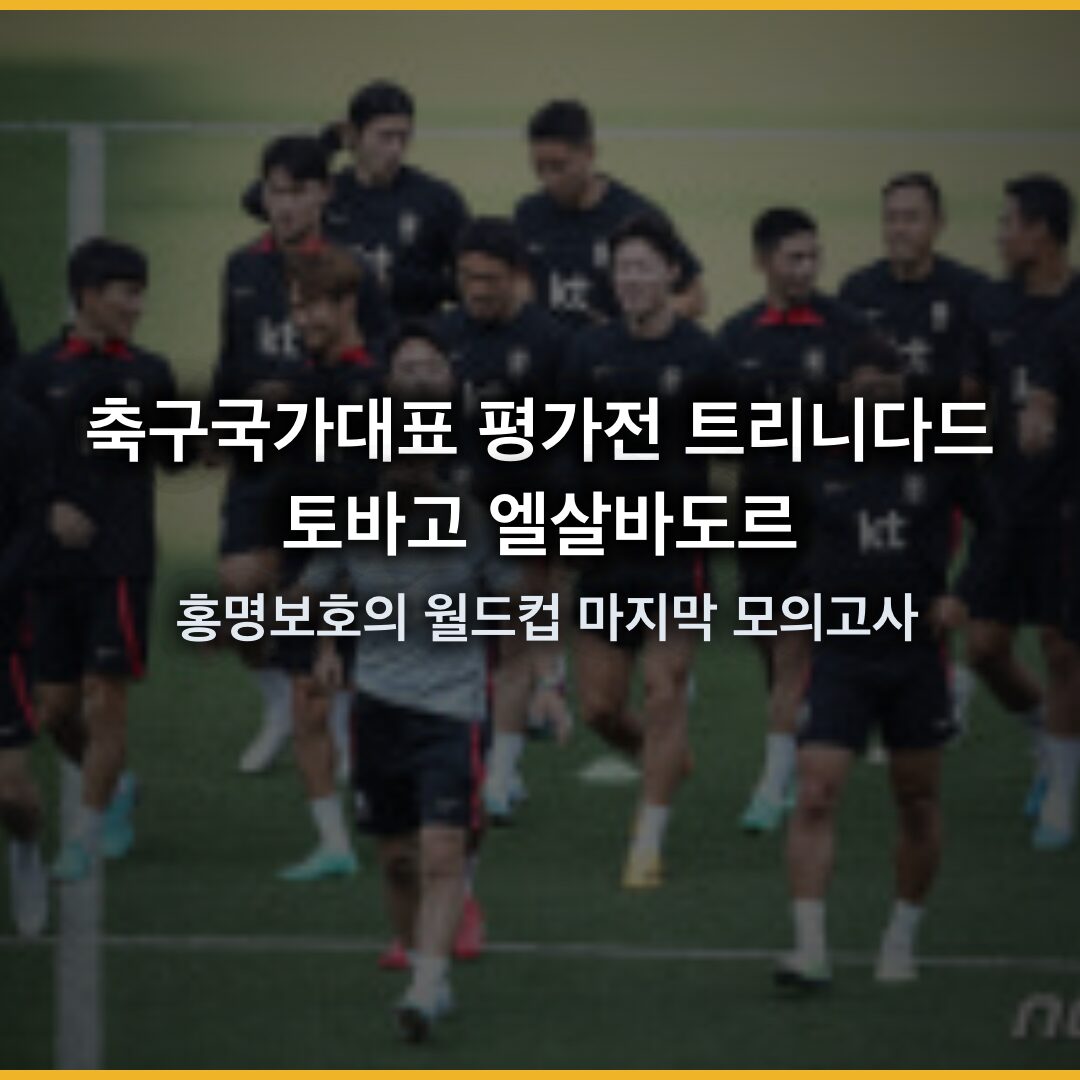 평가전 트리니다드토바고 엘살바도르, 홍명보호의 월드컵 마지막 모의고사