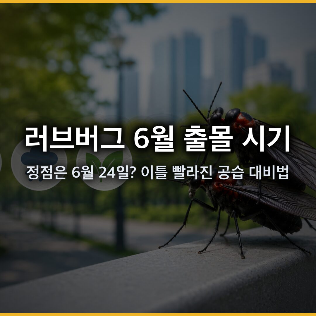 러브버그 6월 출몰 시기 정점은 24일, 작년보다 이틀 빨라진 공습 대비법