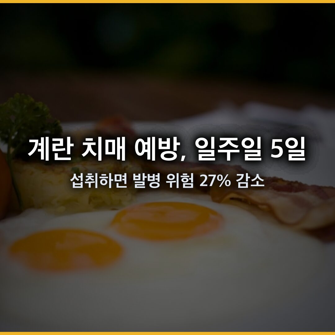 계란 치매 예방, 일주일 5회 섭취 시 발병 위험 27% 감소 계란 치매 예방, 일주일 5회 섭취 시 발병 위험 27% 감소