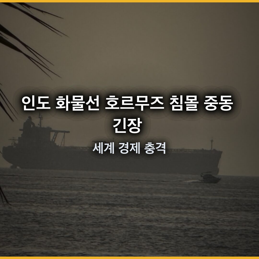 인도 화물선 호르무즈 침몰, 중동 긴장의 진실과 세계 경제 충격