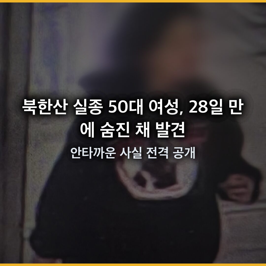 북한산 실종 50대 여성, 28일 만에 숨진 채 발견…안타까운 사실 전격 공개 북한산 실종 50대 여성, 28일 만에 숨진 채 발견…안타까운 사실 전격 공개