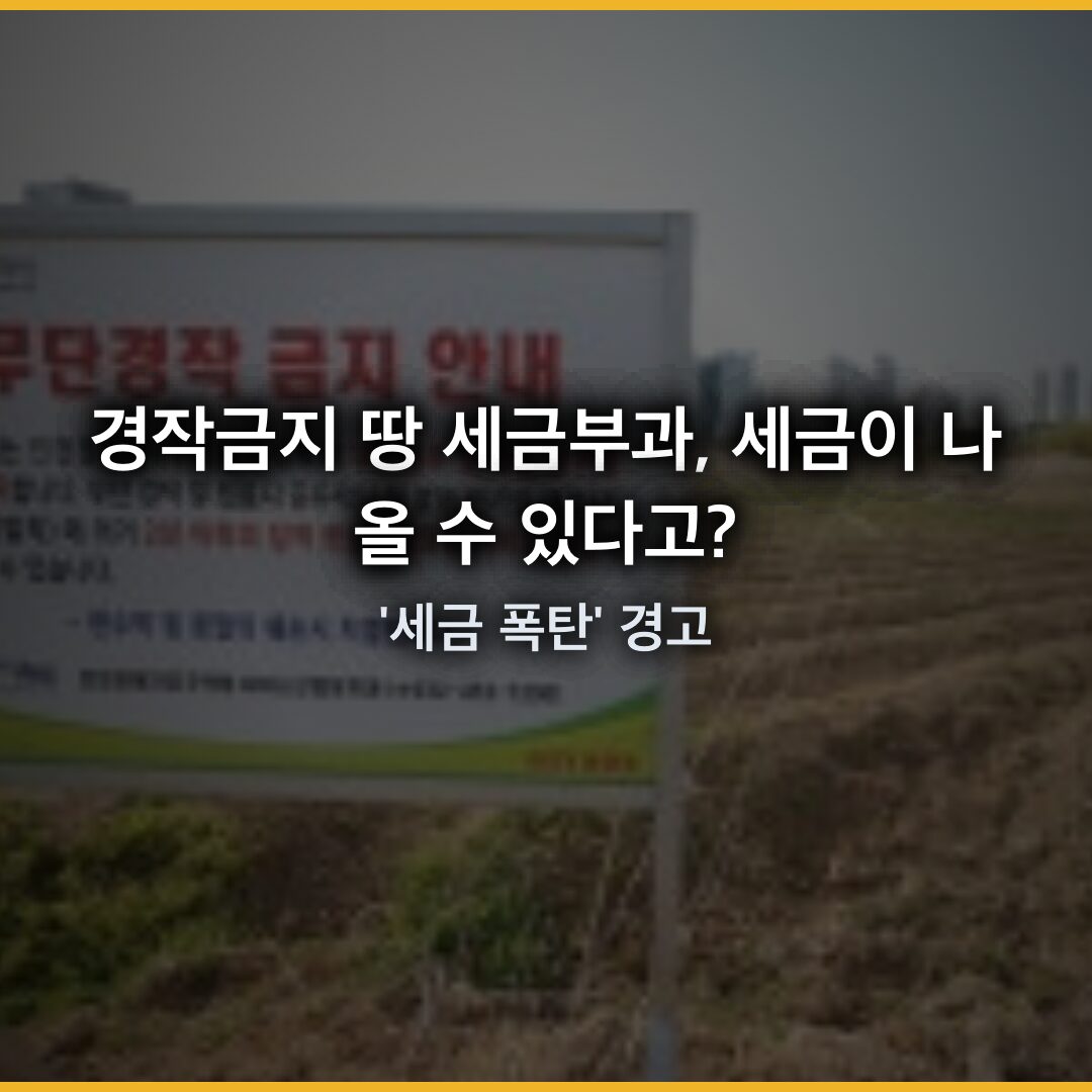 경작금지 땅 세금부과: 땅 주인도 모르게 부과되는 ‘세금 폭탄’ 경고 경작금지 땅 세금부과: 땅 주인도 모르게 부과되는 ‘세금 폭탄’ 경고