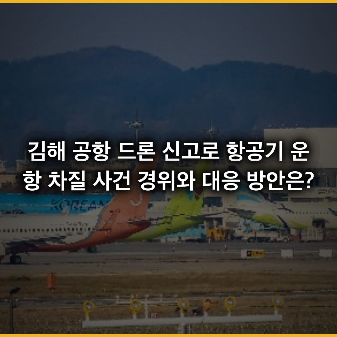 김해 공항 드론 신고로 항공기 운항 차질…사건 경위와 대응 방안은? 김해 공항 드론 신고로 항공기 운항 차질…사건 경위와 대응 방안은?