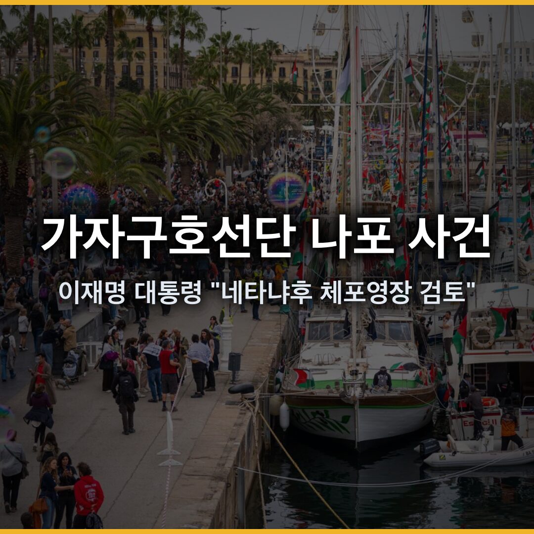 가자구호선단 나포 사건, 이재명 대통령 “네타냐후 체포영장 검토”