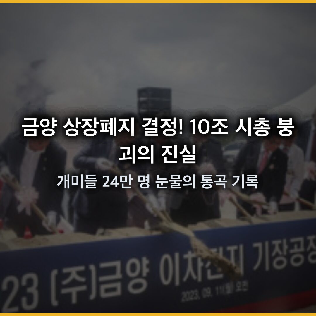 금양 상장폐지 결정! 10조 시총 붕괴의 진실 금양 상장폐지 결정! 10조 시총 붕괴의 진실