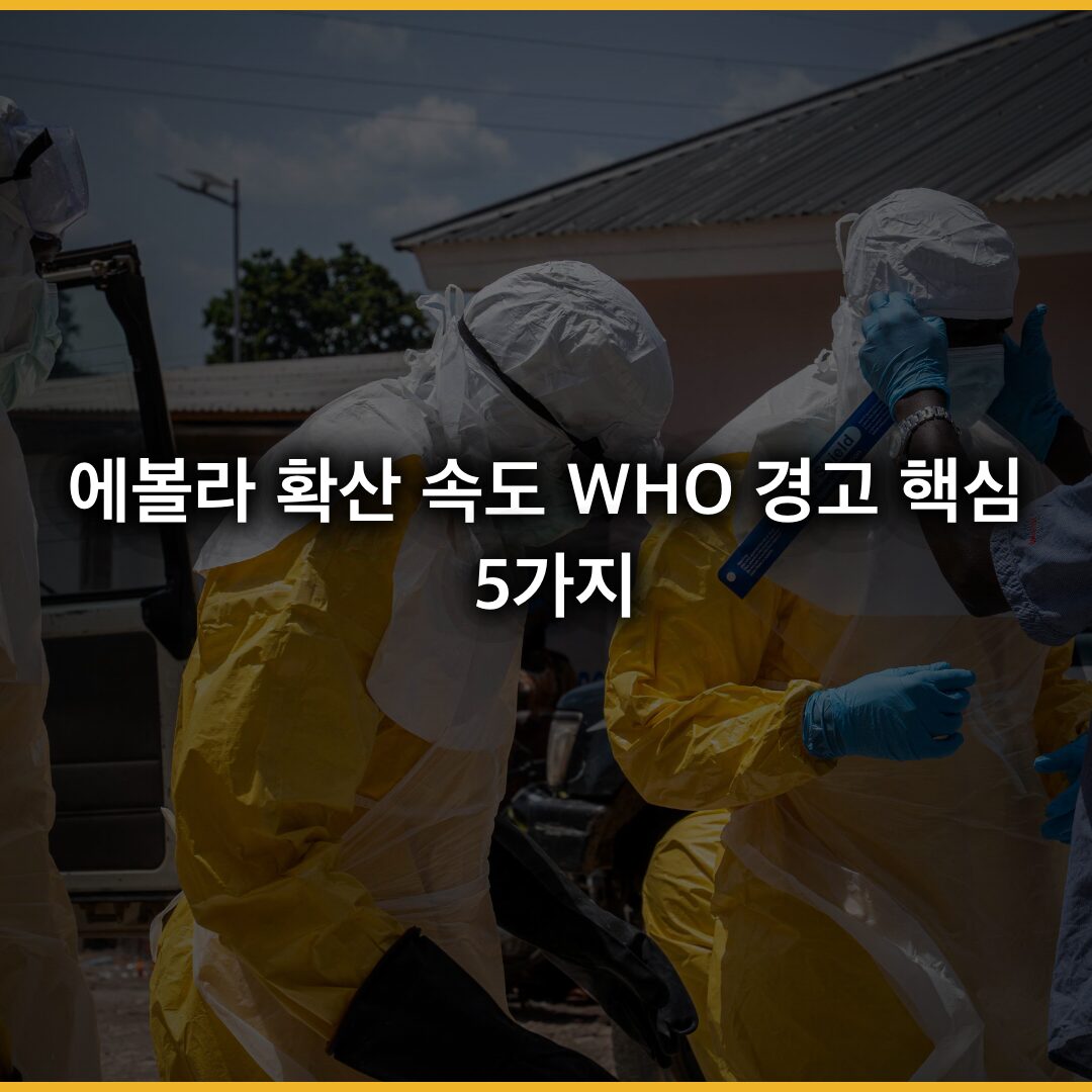 [긴급] 에볼라 확산 속도…WHO 경고 핵심 5가지