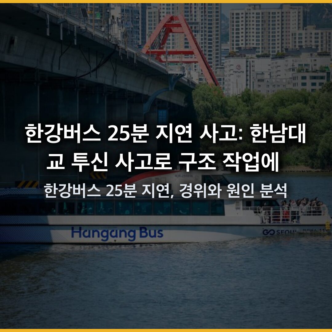 한강버스 25분 지연 사고: 한남대교 투신 사고로 구조 작업에 한강버스 25분 지연, 경위와 원인 분석