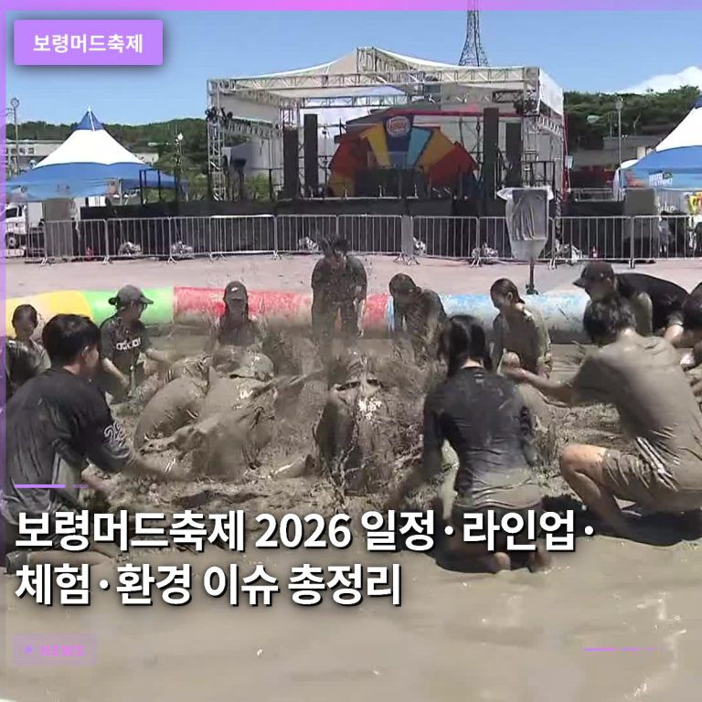 보령머드축제 2026 일정·라인업·체험·환경 이슈 총정리