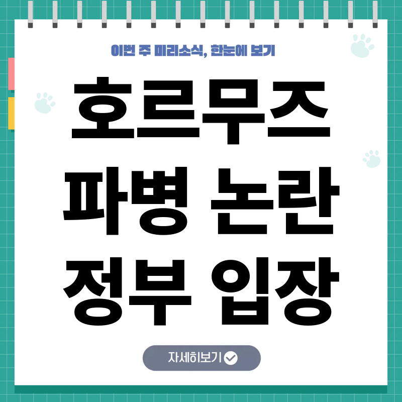 호르무즈 파병 요구와 정부의 대응 전략 및 국내외 외교적 쟁점 분석 심층 이야기