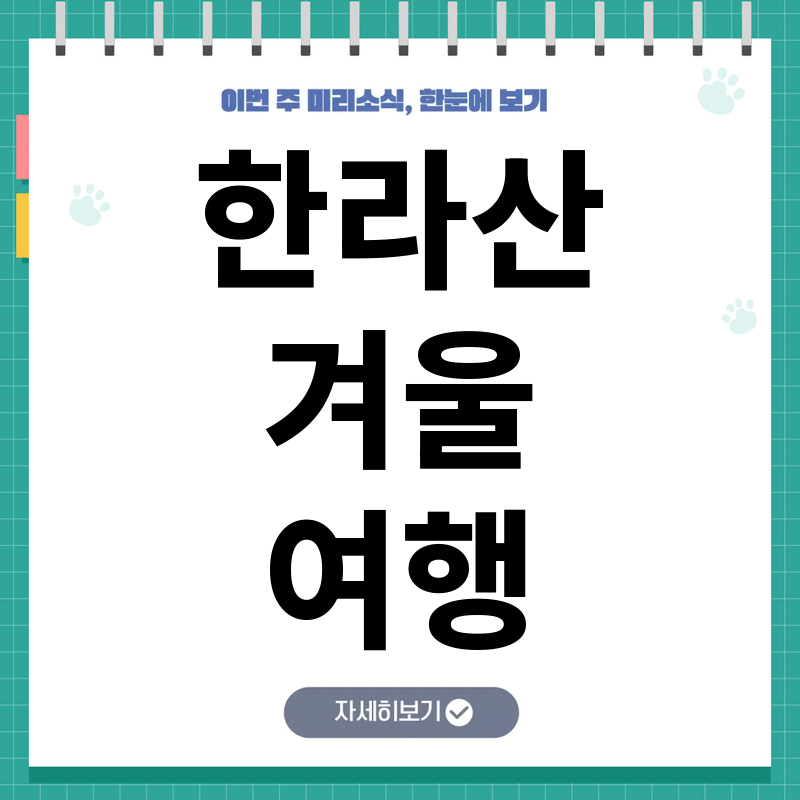 한라산 겨울 설경 명소 베스트 코스와 탐방 예약 핵심 총정리
