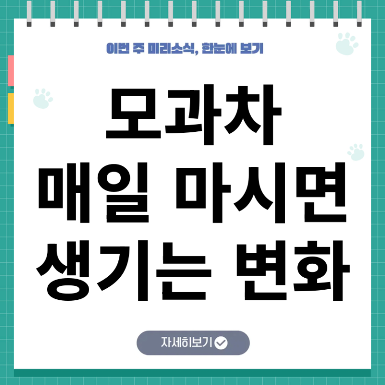 모과차 효능과 꾸준히 마시면 나타나는 건강 변화와 일상 속에서 실천하는 방법