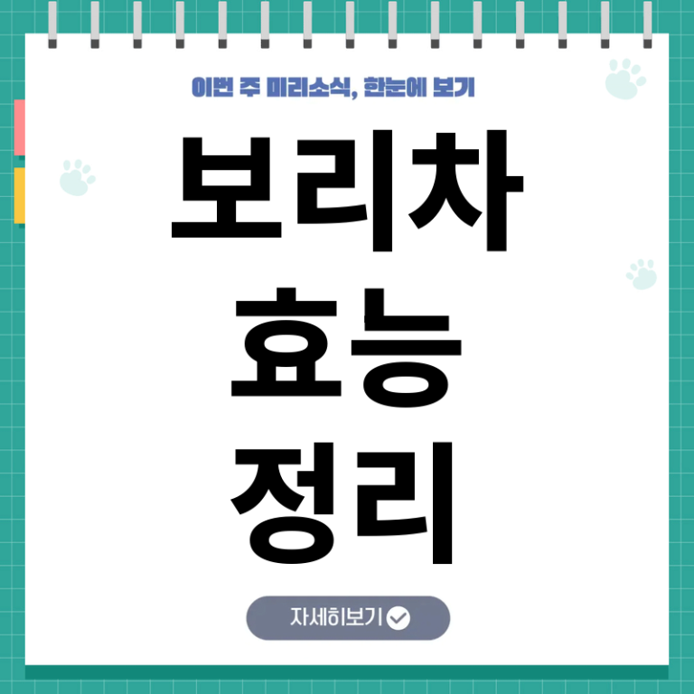 보리차 효능과 건강하게 마시는 법 및 하루 적정 섭취량을 알아보는 완전 가이드