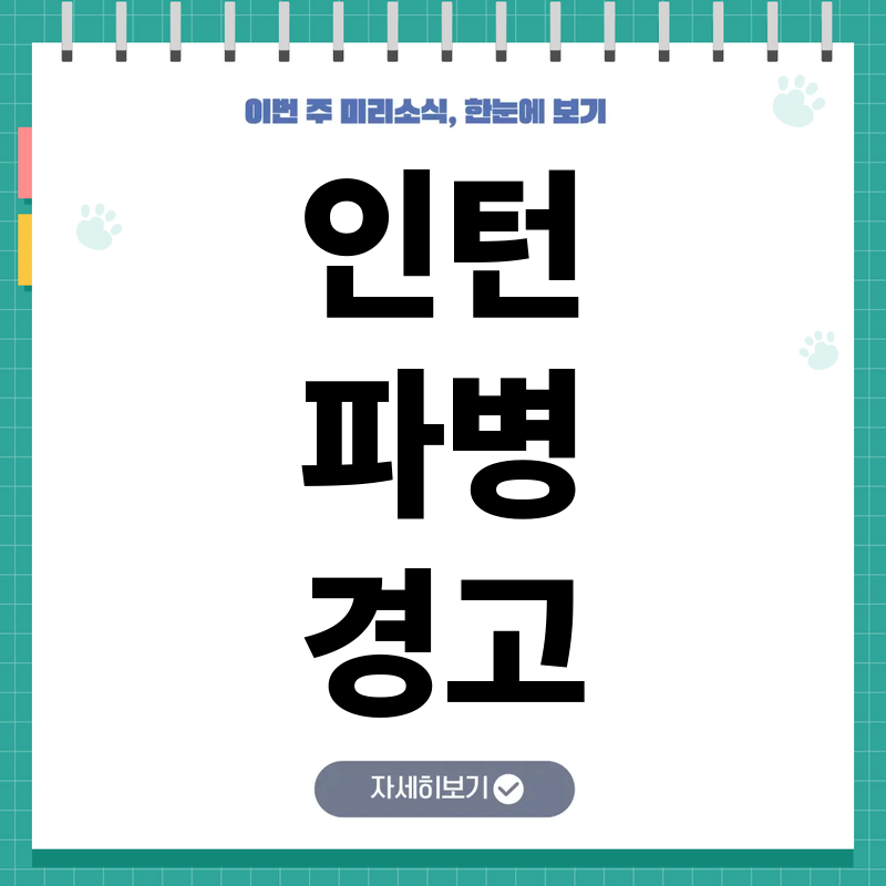 인턴 파병 검토 논란 핵심 이란 전쟁 참여 경고와 현실적 배경