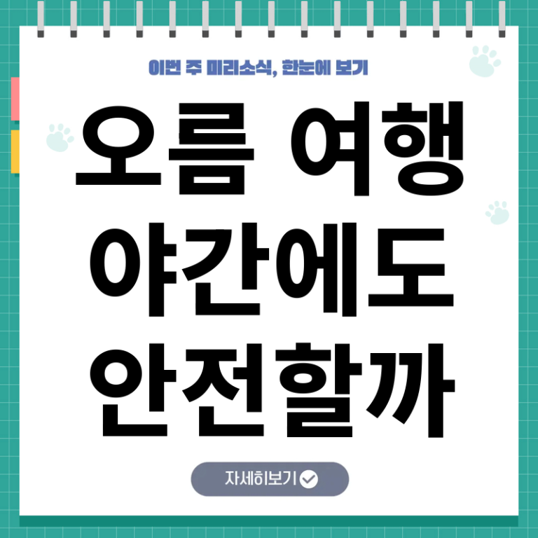 제주 오름 야간 탐방 가이드 | 안전하게 즐기는 보행 환경 개선 현황과 필수 수칙