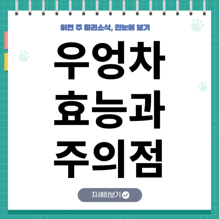우엉차 효능과 소금차 병행 시 부작용, 건강하게 즐기는 법 총정리