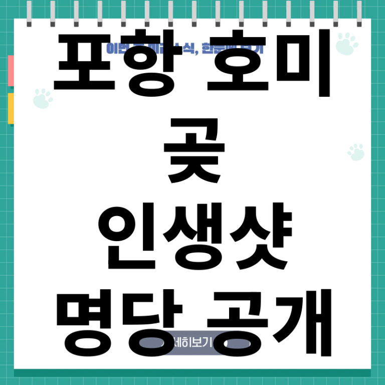 포항호미곶 당일치기 동선과 인생샷 명당 위치 완벽 가이드
