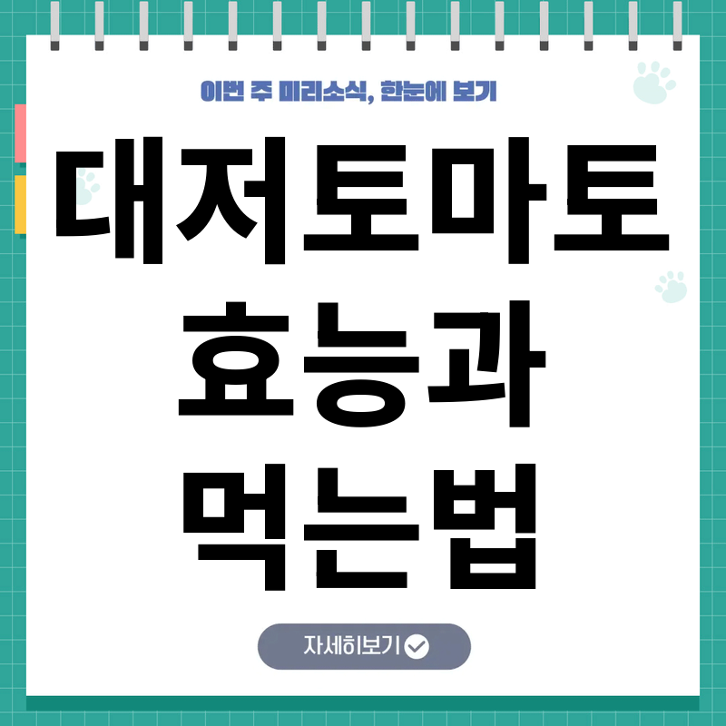 대저토마토 효능과 일반 토마토 차이점, 영양성분과 섭취법 완전 가이드