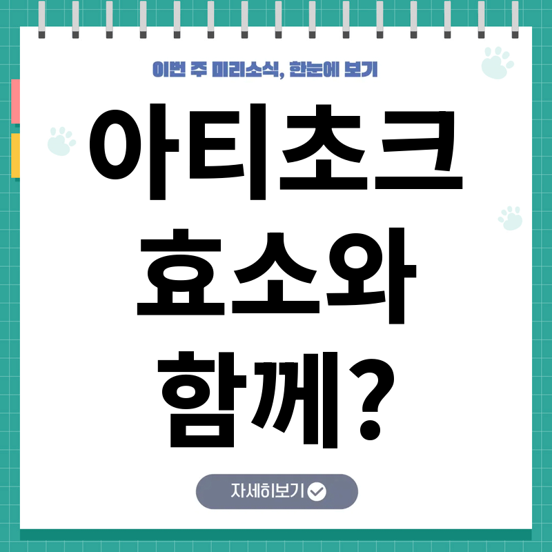 아티초크 효능과 효소 제품에 함유된 이유 완벽 분석